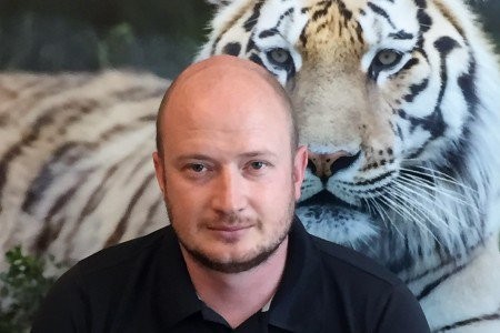 Сергей Арамилев: «Север Приморья — одна большая проблемная зона для тигра» 