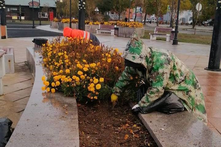 Зима близко: во Владивостоке готовят клумбы к холодам