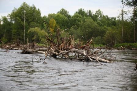 Уровень воды спадает на реках Приморья