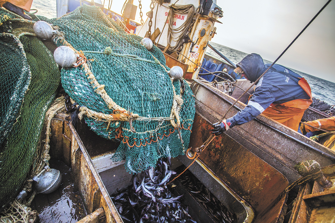 Приморский край вышел на второе место по вылову рыбы на Дальнем Востоке