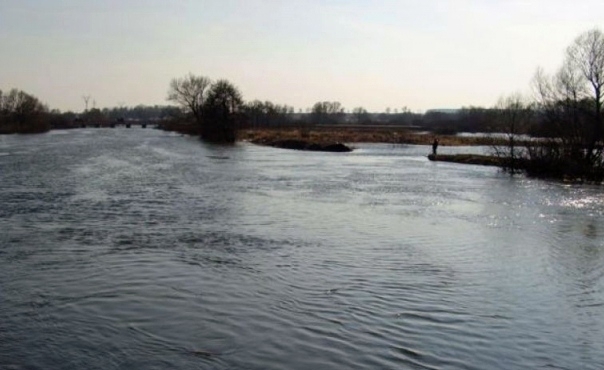 Спад уровня воды в реках наблюдается в Приморье