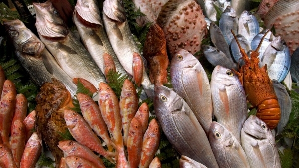 Рыбный рынок могут открыть на острове Русском в Приморье