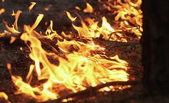 Пожар тушат в Уссурийском городском округе