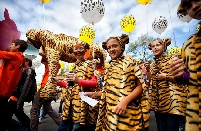 Карнавальное шествие на «День тигра» пройдет в Приморье