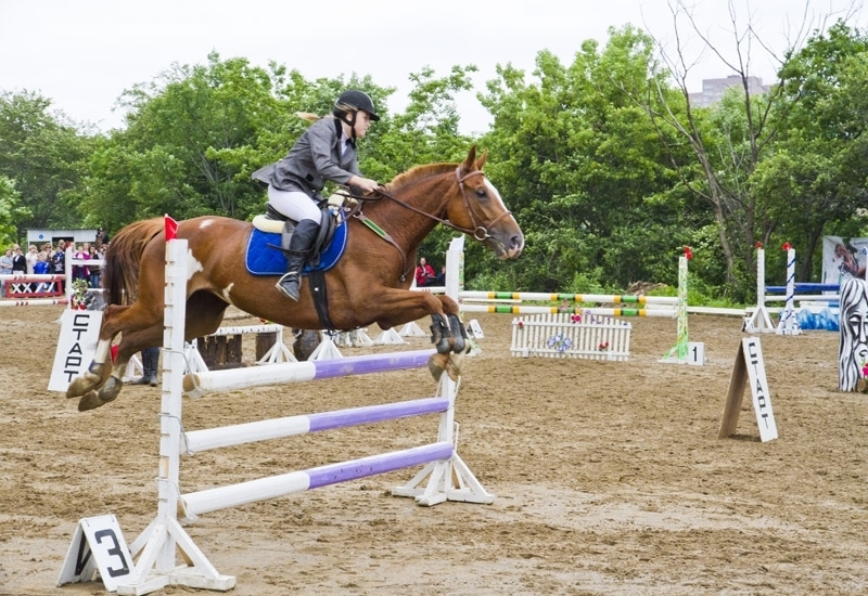 Чемпионат по конному спорту пройдет во Владивостоке в эти выходные