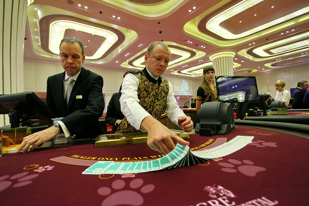 казино в приморье работа