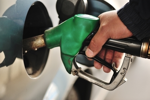 ФАС сообщила, насколько к концу года вырастут цены на бензин