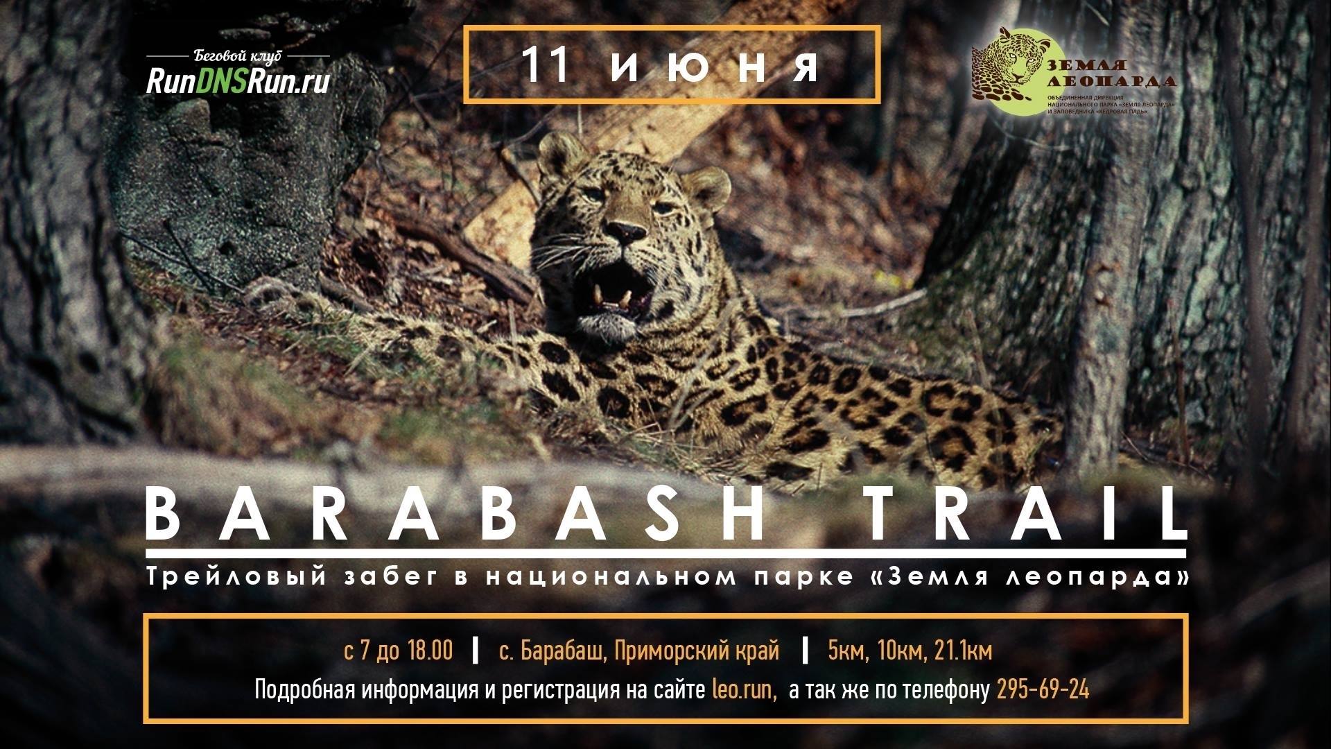 Для отпугивания леопардов бегунам «Barabash trail» в Приморье выдадут фальшфейеры