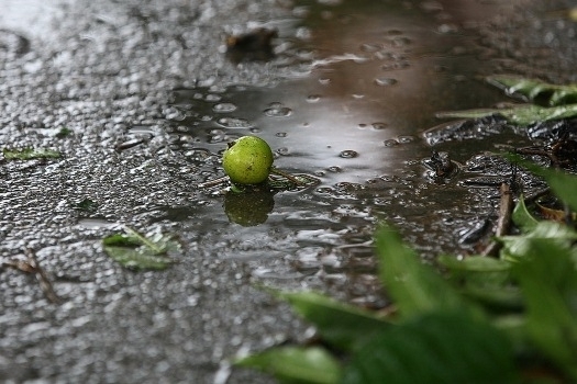 Местами дожди: погода на 14 июня