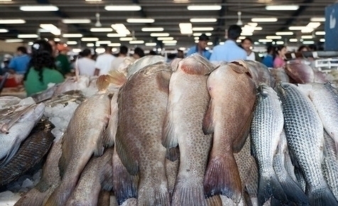 Торговые точки в Приморье снизили цену на мороженную рыбу