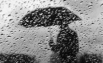 Местами сильный дождь: погода на 12 июня