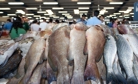 Просроченную рыбу и гребешок изъяли в одном из приморских кафе