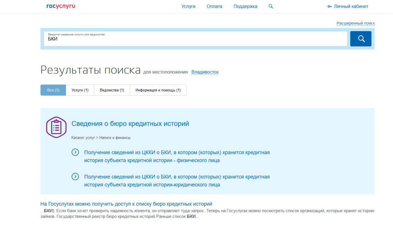 Бки кредитная история через госуслуги. Бюро кредитных историй госуслуги. Как заказать кредитную историю в госуслугах. БКИ кредитная история. Хранение кредитной истории.