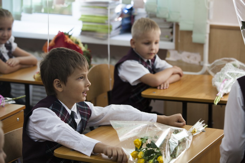 Образование в новом учебном году. Гимназист за партой в школе. 7 Класс новые предметы в школе.