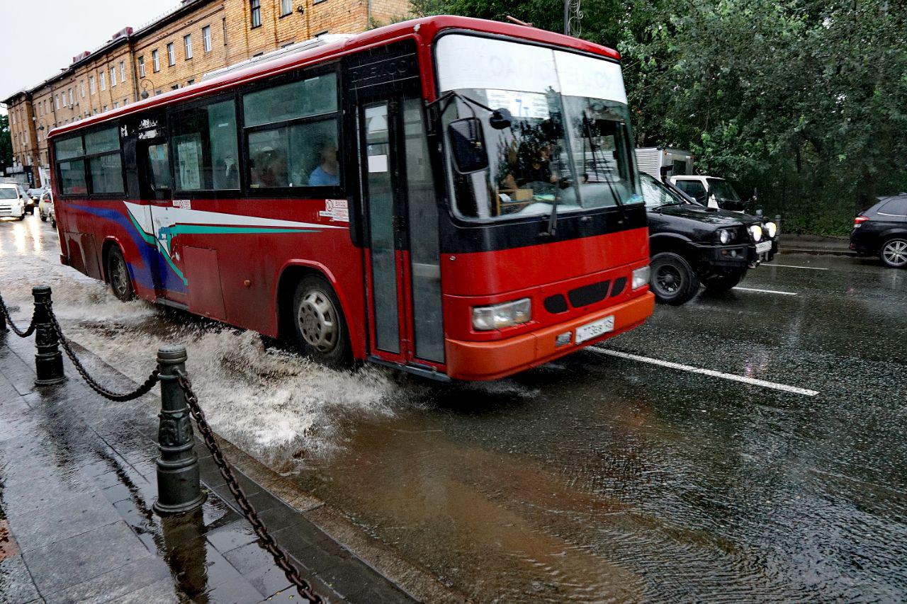 Автобусы и такси в Приморье больше не будут водить иностранцы