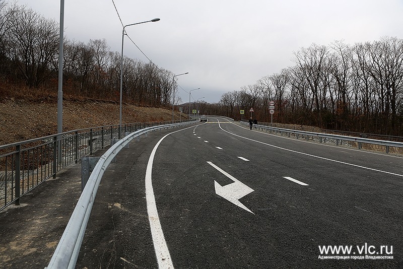 Владикавказ дорога открыта. Объездная дорога Владикавказ. Горностаи на дороге.