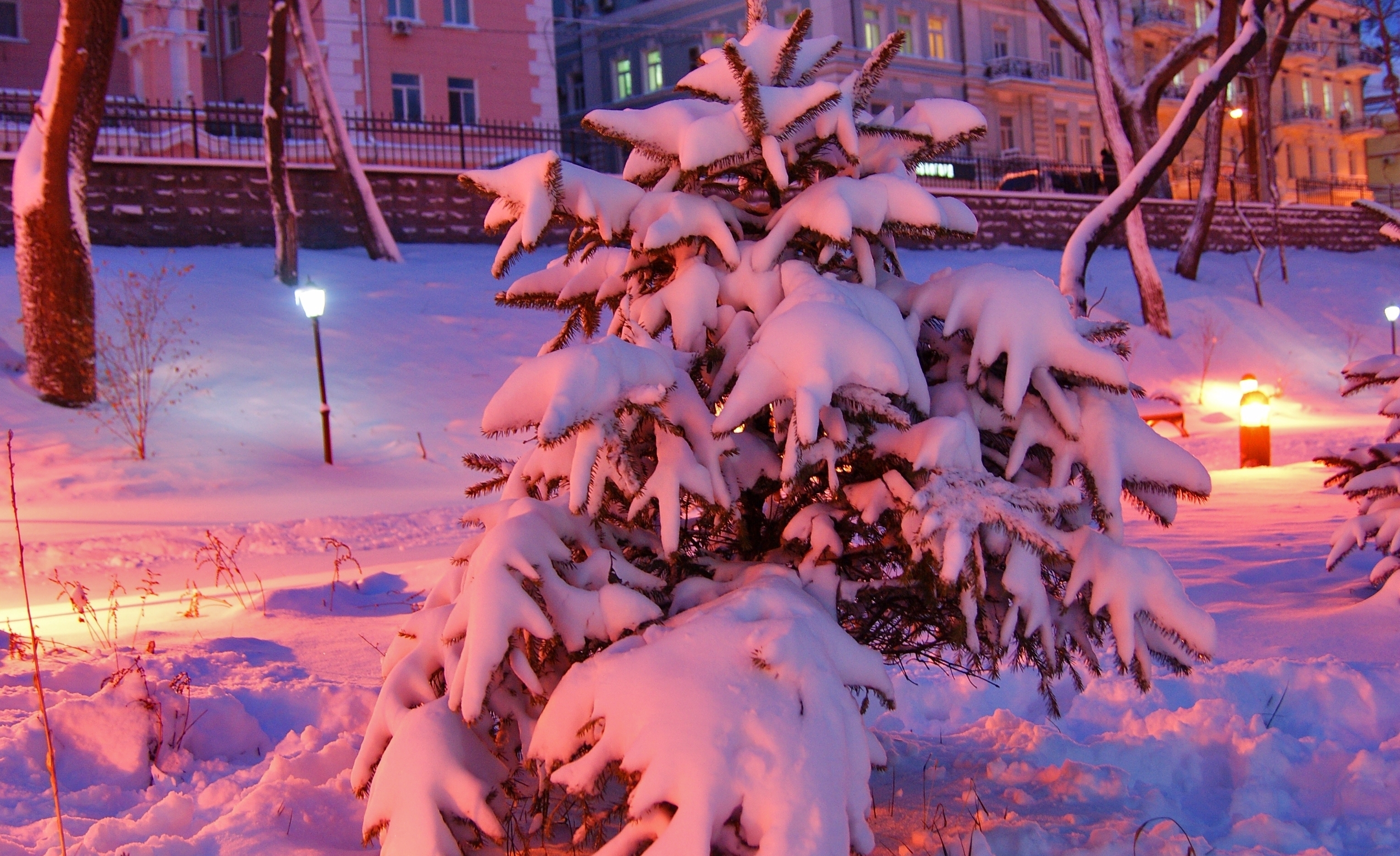 Якутск в декабре