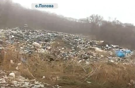 Остров Попова превращается в свалку отходов 